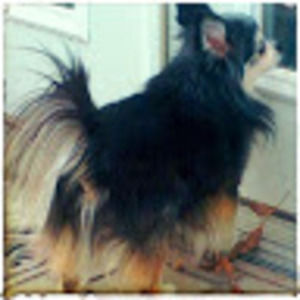 Meet your Posher, Jamie